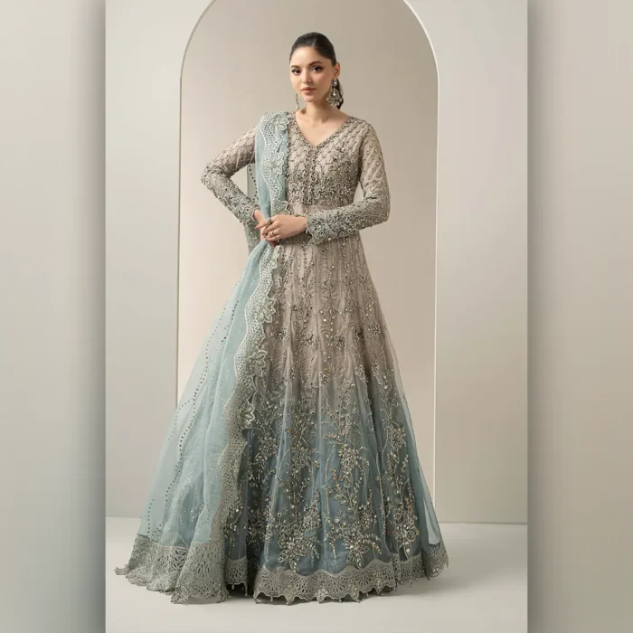 DIGITAL MAXI - Image 1