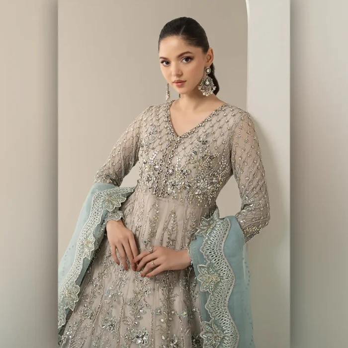 DIGITAL MAXI - Image 2